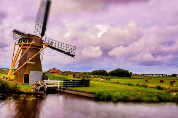 Best International Online Brokers in The Netherlands