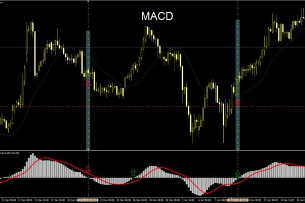 MACD21