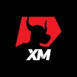 xm bull